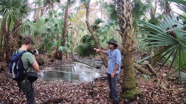 Canoeing to an Ancient Shell Ring with Spring in Alexander Wilderness