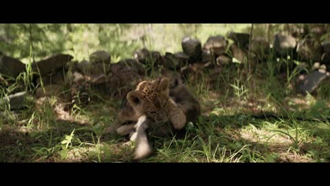 THE WOLF AND THE LION _ Official Trailer _ STUDIOCANAL International