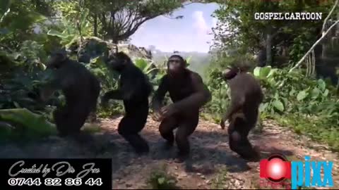 AWESOME GORILLAS DANCING A SON IN AFRICAN FOREST