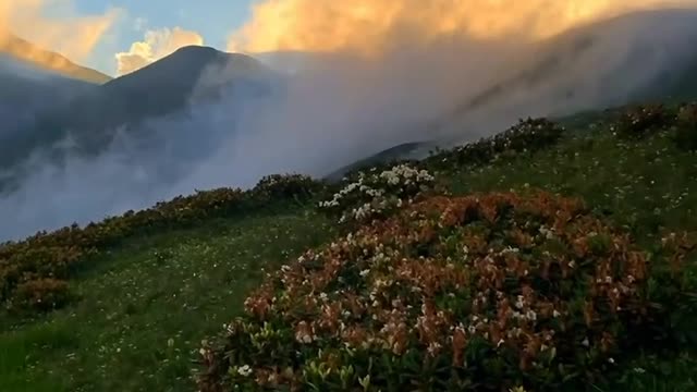 Beautiful Nature