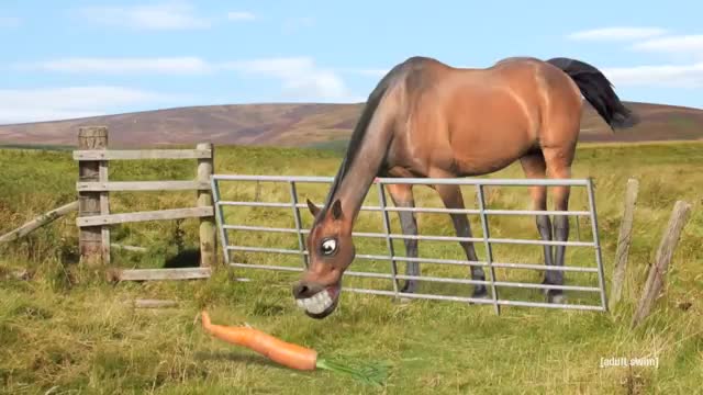 Horse & Carrot - Animated Short_