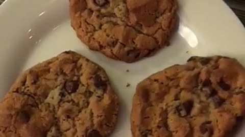 Black Kitten Swipes Cookie Off Plate