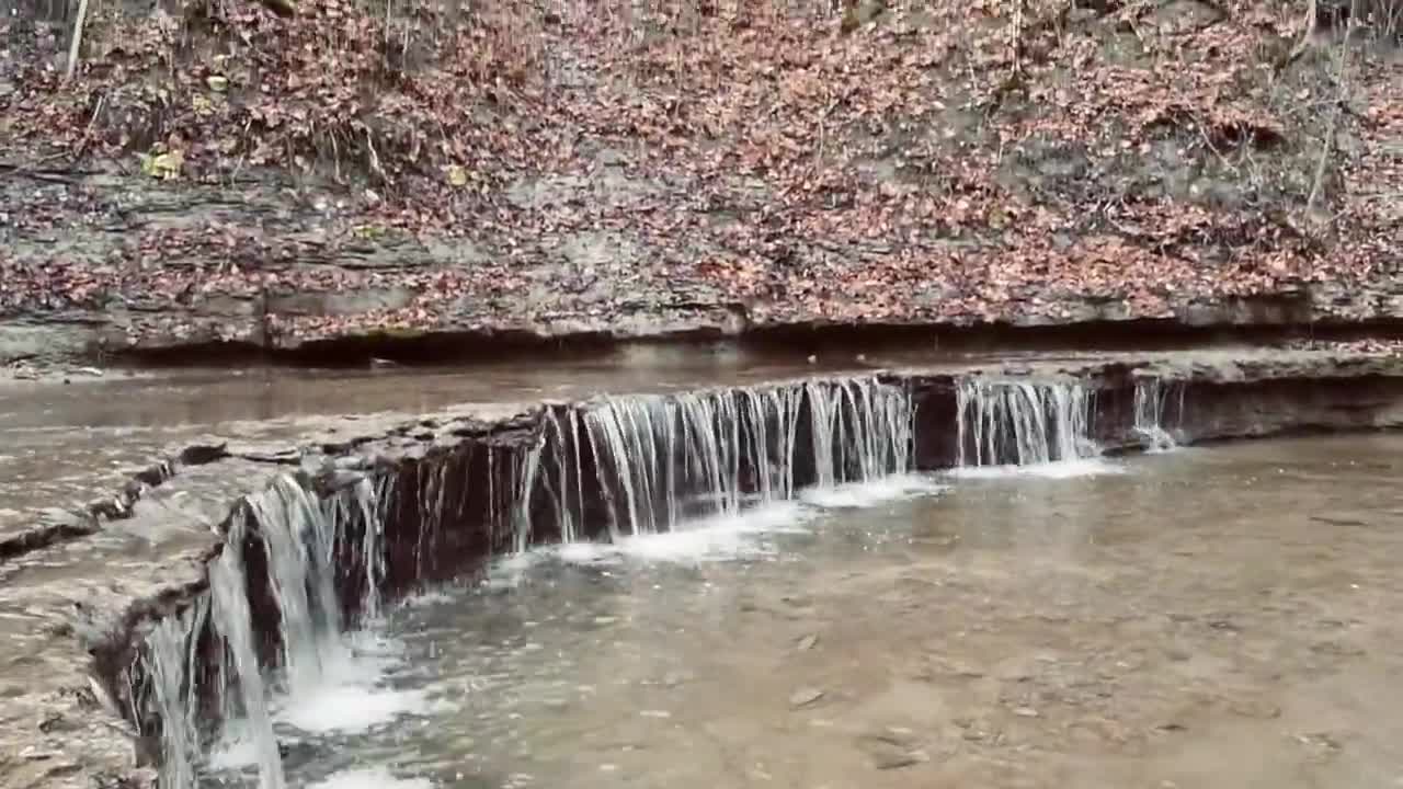 Water forest photography status // nature water falls