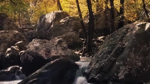 Relaxing Music, Sleep Music, Stress Relief Music, Spa, Meditation, Yoga, Zen, Ocean Waves
