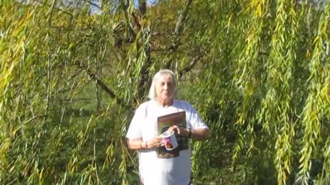 Tales from under the trees