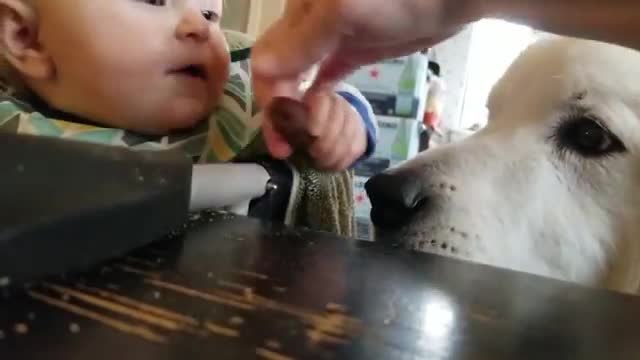 Funny Sneaky baby.