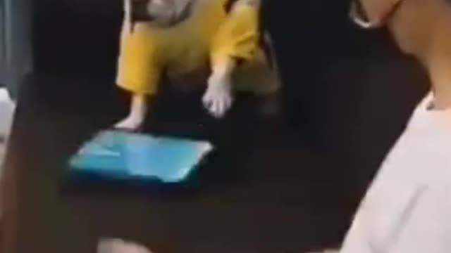 Pet's Life_funny videos animals_funny animals #shorts 2021
