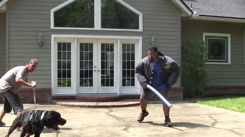 How To Train Your Dog To Become Aggressive Instantly With Few Simple Tricks