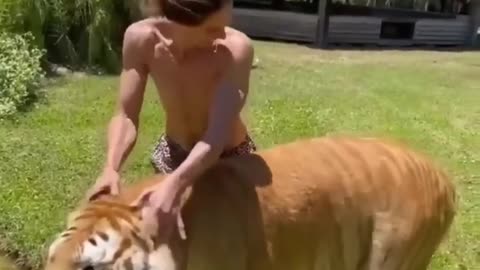 Laugh-Out-Loud Animal Fails: Funniest Cats, Dogs, and Pet Antics!