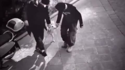 They dance with the dog so cute