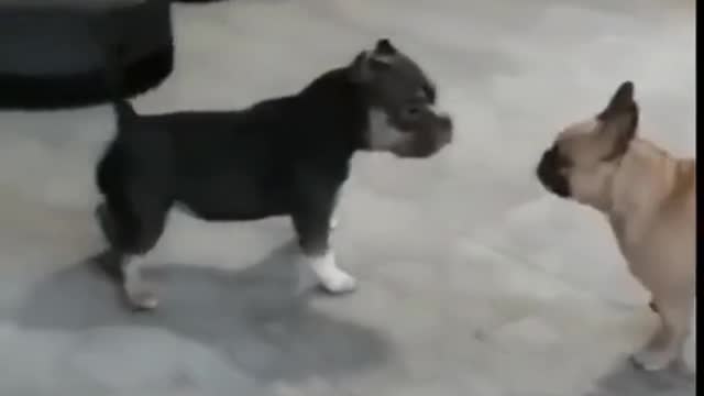 Not owner of the song