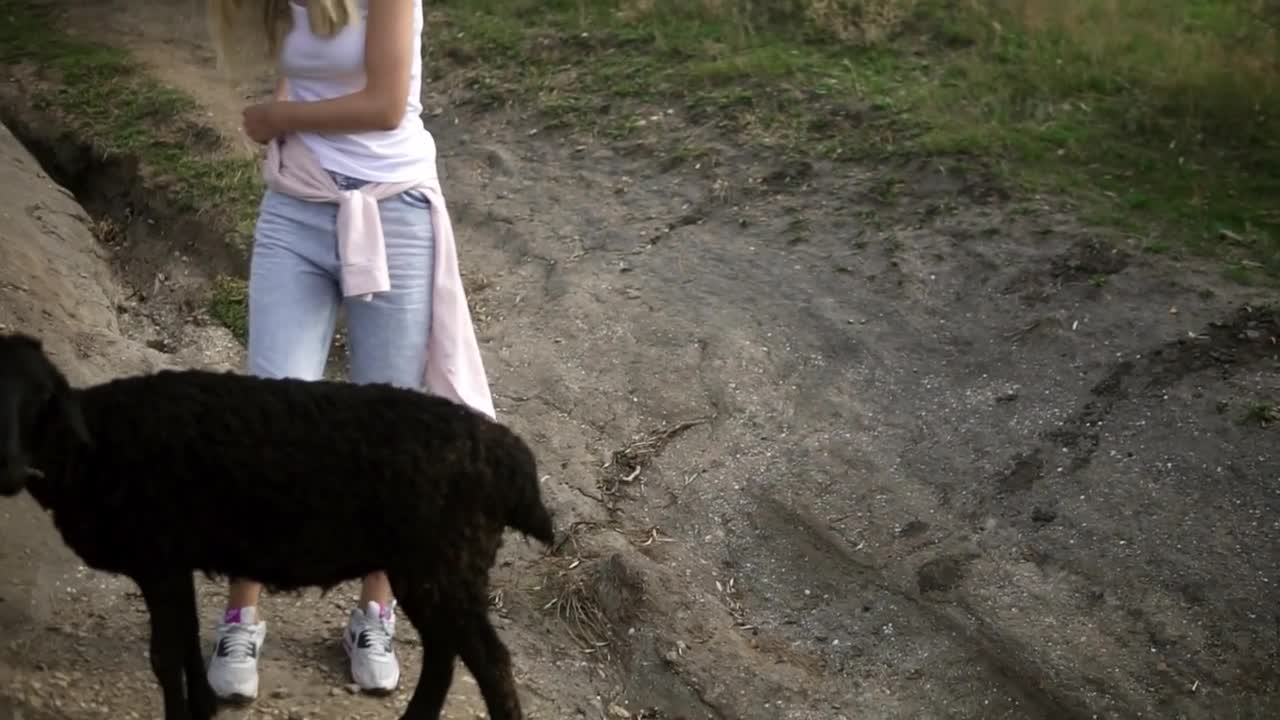 Goats grazing outdoors, eating leaves from the trees while woman staring on them from the side