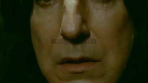 Harry Potter and the Deathly Hallows - Part 2 (2011)