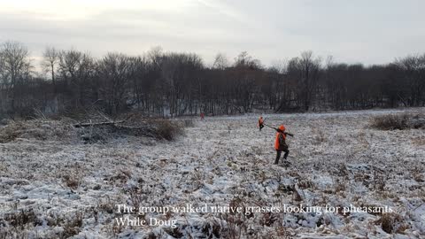 Iowa Outdoor Adventures - What Cheer, Iowa Upland Bird Hunting