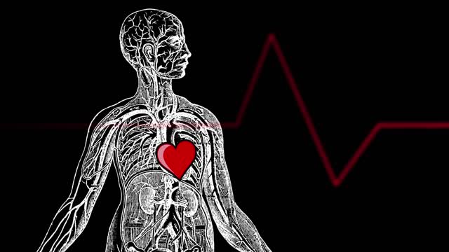 Heartbeat Animation