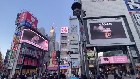 A new 3D cat Shinjuku in Tokyo 1