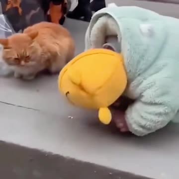 Funny comedy fails video