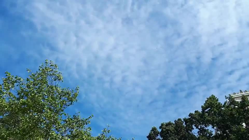 Himmel in Berlin am 29.07.2022 um 10 Uhr