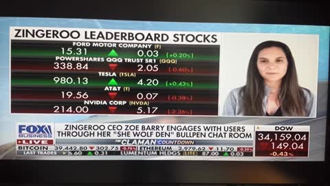 ZINGEROO trading platform