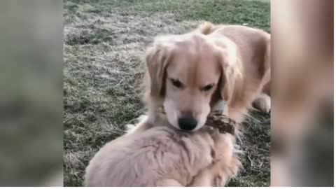 Adorable baby plays with mom