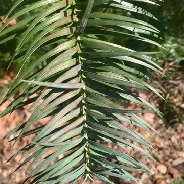 I NEEDLE TIME WITH YOU 😉