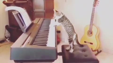 Musician from God