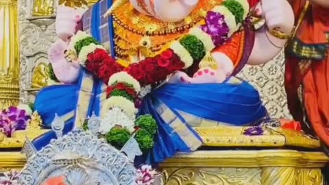 Ganpati Bappa morya videos