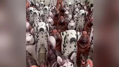 Answered: Your Most Burning Questions About FIND THE DOG