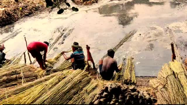 Village worker , working hard