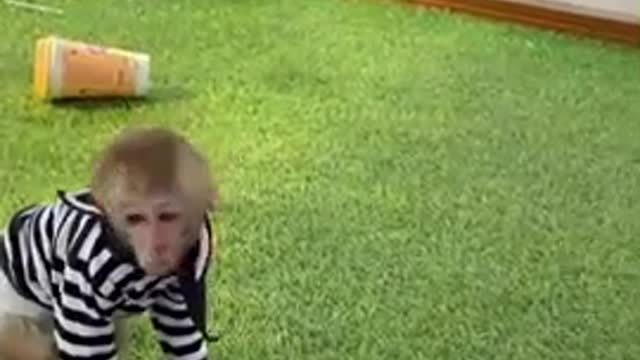 FUNNY VIDEO 2021 🤣