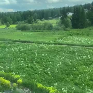 Video from a train 🚆, the area of Irkutsk, Russia