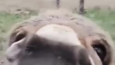 Crazy People Part 2😂🤭 #funnyvideo #funny #funnyvideos