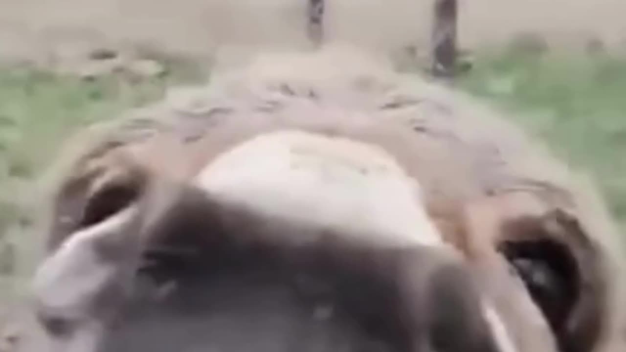 Crazy People Part 2😂🤠#funnyvideo #funny #funnyvideos