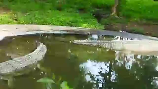 Nice a video 👍