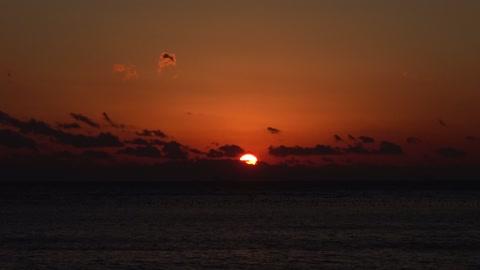 The reddish sun and the sea. 6