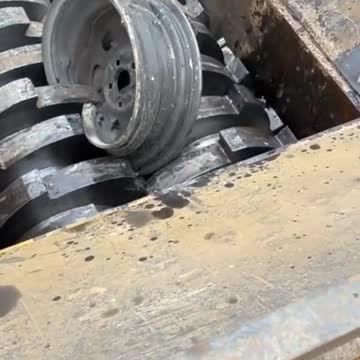 funny|prank|jokes|funny jokes|dad jokes|funny memes|funny video|fun|laughing|funny animal|knock