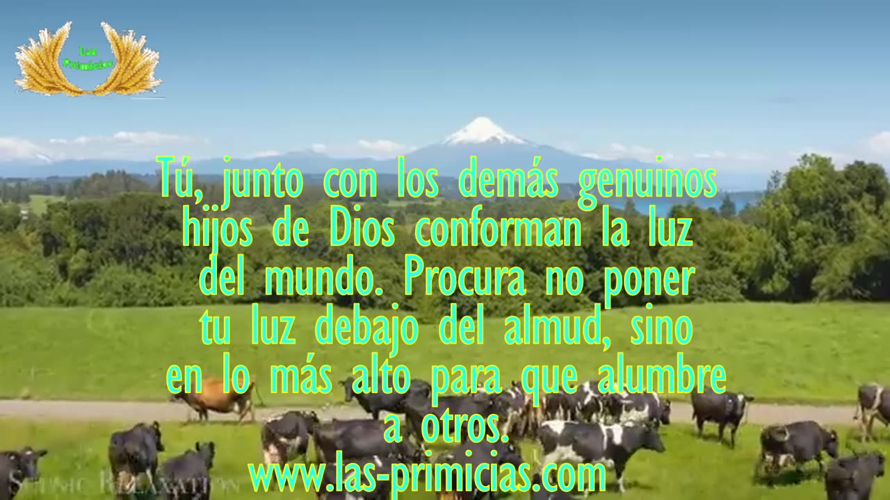 Capítulo 11 - Oraciones trascendentales (7/8)