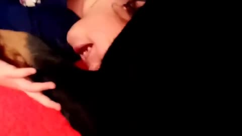 Fighting for a place on the bed | Funny Dog