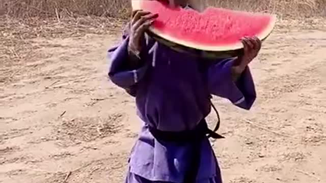 Monkey eating a watermelon🥰