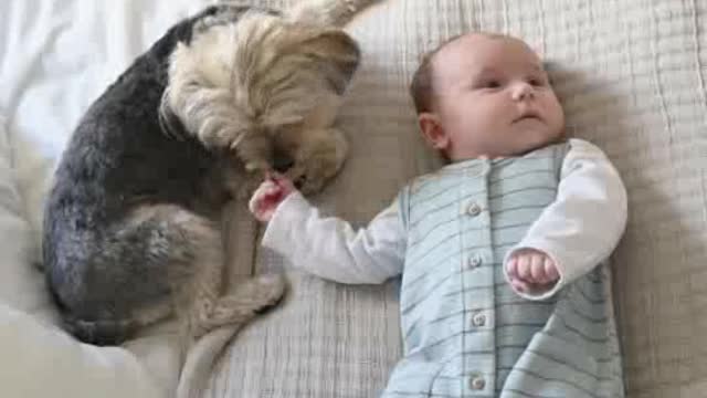 cute shots with animals