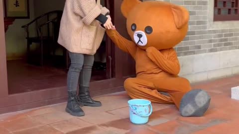 Brown bear begs for money for the first time episode 148