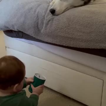 Cat and baby both are playing with at home