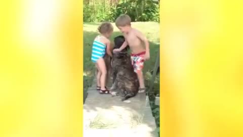 2 kids control big dogs