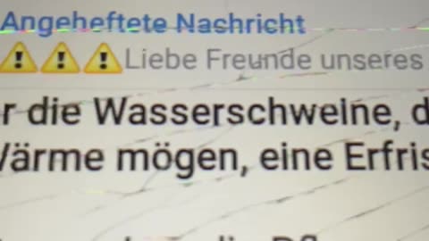 Wann wachst du auf?