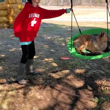 Adorable dog waits for his girl to swing him