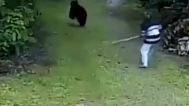 The woman was protecting her dog from the bear, but something went wrong.