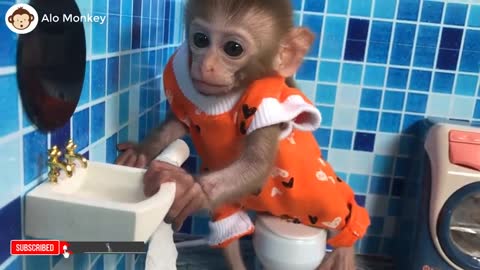 Baby monkey wakes up