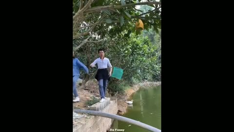Funny_video_2023🤣🤣dog cat _funny_video