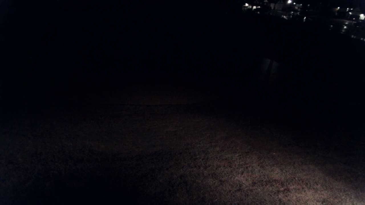 The Pond