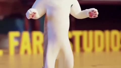 Cat dance